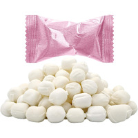 The Dreidel Company Pastel Pink Buttermints, Mint Candies, After Dinner Mints, Butter Mint Candy, Fat-Free, Individually Wrapped (110 Pieces)