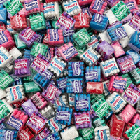 Canel's Original Chewing Gum Assorted Flavors, 1.5-Pound Pack (About 135 Individually Wrapped Pouches)