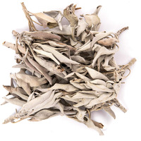 Juniper Ridge | White Sage Loose Leaves | Salvia Apiana Clusters | Dry Burning White Sage |  Lb Bag