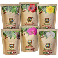 Java Planet - Coffee Beans, Organic Coffee Sampler Pack, Whole Bean Variety Pack, Arabica Gourmet Specialty Coffee, 1.32 Pounds Of Coffee Packaged In Six 3.2 Oz Bags