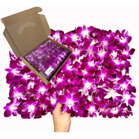 Miami Fresh Orchid Flower Orchidclub Usa Sunne Tropical Loose Bloom Head Diy Lei Food Drink Decoration (2X50 Purple)