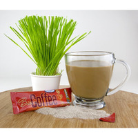 Bio Coffee- First Organic Instant Non-Dairy Alkaline Coffee (2 Boxes, 32 Total Sachets)