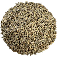 Organic Rye Berries 10 Lbs - Non-Gmo, Kosher, Raw Whole Grain, Bulk Seeds - Usa Grown
