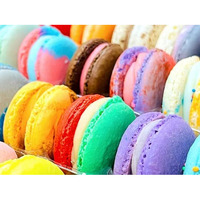 Surprise Me 24 Pack | Assorted Gluten Free French Macaron | Flavor Guide Included