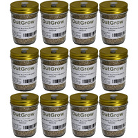 Brf Jars Mushroom Substrate (12 Pack)