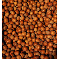 Hazelnuts In-Shell From Our Family Orchard In Washington State (Raw, 4 Pounds)