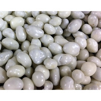 Greek Yogurt Covered Raisins By Its Delish, 5 Lbs