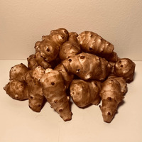 Sunchokes / Jerusalem Artichokes - 3 Pounds (3Lbs) For Planting Or Eating - Adama Foods