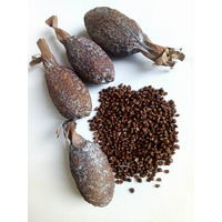 Ghana Alligator Pepper Mbongo Spice Hepper Pepper (10)