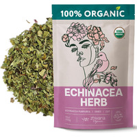 Echinacea Tea Organic - Echinacea Purpurea Herb Loose Leaf - Dried Medicinal Herbs For Tea - Equinacea Organica - Support Immune System, Body Defenses, Andioxidant - Large 10 Oz Bag
