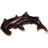 The Gummy Bear Guy (Tm) | World's Greatest Gummy Hammerhead Shark (Tm)