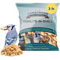 Armstrong Bird Food Peanuts-In-Shell, 3 Pounds - For Blue Jays, Eastern Grey Squirrels And Eastern Chipmunks For Outside Feeders