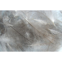 Hareline Cul De Canard (Natural Dun)