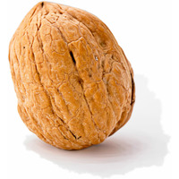 Crazy Nuts | California Grown Whole Walnuts In Shell, 5Lb | Raw Walnuts Whole Bulk, Walnuts For Squirrels, Nuts In Shells For Squirrels