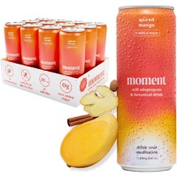 Moment Adaptogen Drink - Non-Carbonated Spiced Mango | L-Theanine & Ashwagandha For Calm & Clarity | 0 Added Sugar, 0 Caffeine, 0 Alcohol | 12-Pack