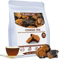 Tearelae - Chaga Tea - 2G X 40 Count - Wild Harvest From Siberia - 100% Pure Natural Chaga Mushroom Tea Bag - Additive-Free - Non-Gmo - Caffeine-Free