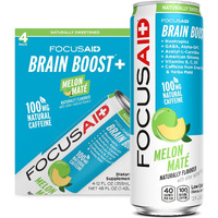 Lifeaid Energy Blend Nootropics Drink For Brain Fuel Alphagpc Gaba Bcomplex Yerba Mate Green Tea 100 Clean100Mg Natural Caffeine 12Oz. Cans Pack , Focusaid, 12 Fl Oz (Pack Of 4)