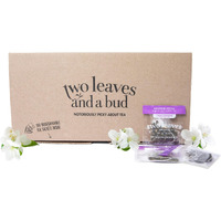 Two Leaves And A Bud Jasmine Green Tea Bags, 100 Count (Pack Of 1) Whole Leaf Green Tea In Pyramid Sachet Bags, Compostable Sachets, Delicious Hot Or Iced With Milk Or Sugar Or Honey Or Plain