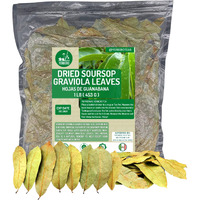 Yerbero - Whole Wildcrafted Dried Graviola Soursop Leaves 1 Lb (453G - 1300+ Leaves Per Bag) Hoja De Guanabana Seca, Crafted By Nature | Vacuum Sealed For Freshness | From Mexico | Premium Quality.