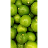 Fresh Key Limes 3 Lbs.