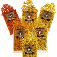 Ultimate Toasted Corn Variety Pack | Ranch, Bbq, Salted, Chile Lemon, Jalapeno Cheddar, Sour Cream & Onion Korn Nutz | Runnin Wild Foods | 3 Pounds Total (Box Of 6 Bags, 8Oz Each)