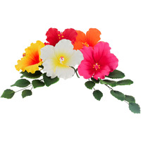 Global Sugar Art Hibiscus Sugar Cake Flowers, Assorted Colors Hawaiian Cake Flower Large, 5 Count And Leaf Sprays By Chef Alan Tetreault