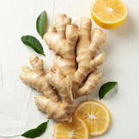 Organic Fresh Ginger Roots Snow Hill Himalayan Ginger Roots - Product Of Mt. Everest Country, Nepal | If Need Fresh Batch, Choose Seller Ship - We Ship Same Day