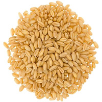 Mader Family Farmed Soft White Wheat Berries: Palouse Brand, Non-Gmo, Kosher, Bulk