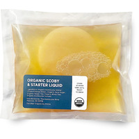Organic Scoby Kombucha Starter Kit With Live Culture For Brewing Kombucha Tea - Urban Kitchen