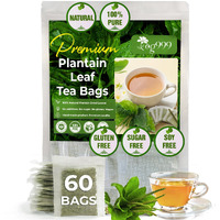 Tog999, Premium 60 Plantain Leaf Tea Bags, 100% Natural & Pure Plantain Leaves. Loose Leaf Plantain Herbal Tea. Plantain Leaf Tea. No Sugar, No Caffeine, No Gluten, Vegan.