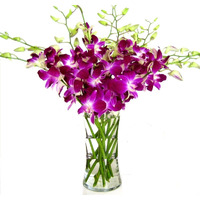 Fresh Cut Flowers -Dendrobium Purple Orchids With Vase Gift For Birthday, Sympathy, Anniversary, Get Well, Thank You, Valentine, Mothers Day Flowers And Easter