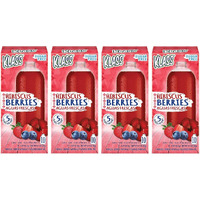 Drink Mix Hibiscus Berries | Klass Aguas Frescas | Sugar Free! (Pack Of 4, 40 Count Powder Stick Packs) Shake It Up! The New Way To Drink Aguas Frescas.