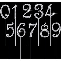 Numbers 0-9 Cake Topper Mini Diamond Gems Birthday Cake Toppers Bling Rhinestone Cake Topper Birthday Party Decoration For Wedding Anniversary Birthday Cake Decorations Keepsake, Set Of 10(Silver)