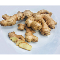 Kejora Usda Certified Organic Fresh Ginger Root From Peru - 2 Lbs