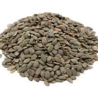 Gerbs Lightly Sea Salted Pumpkin Seed Kernels 14 Oz | Top 14 Allergy Free Food | Protein Rich Snack Food | Use In Salads, Yogurt, Oatmeal, Trail Mix | Grown In Canada, Packaged In Usa | Vegan, Kosher