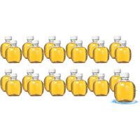 Martinellis Apple Juice Premium. 100% Pure Juice | 10 Fl Oz Pet Bottles | Pack Of 24