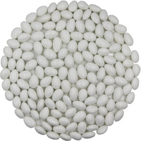 American Best Food Pastel Color Jordan Almonds In Jar, Kosher (4 Pound, White)
