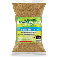 Organic Wheatgrass Seed - Certified Organic Hard Red Wheat By Powergrow (5 Pound)