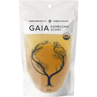 Kombucha.Com Certified Organic Kombucha Scoby (Gaia) + Super Strong Starter Liquid. 8 Oz. Makes 1/2 Or 1 Gallon. Includes Free Kombucha.Com Organic Mixed Tea Blend Sample.