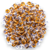 Arcor Sugar Free Butterscotch Gourmet Hard Candy-Keto Friendly- Premium Quality 1.5 Lbs, Delicious Taste Individually Wrapped Butterscotch Candy-Ideal Diabetic & Gluten Free(24 Oz)