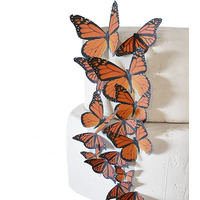Sugar Robot Inc. Edible Butterflies Assorted Size Premium Crafted Made In The Usa - Cake And Cupcake Toppers, Decoration (Orange Monarch)
