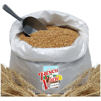 Organic Hard White Wheat Berries - 24Lbs