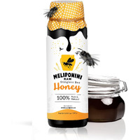 Meliponini - Stingless Bee Honey, Antioxidant-Rich Raw Honey, A Powerful Alternative To Manuka Honey, Tasty Sweet And Sour Pure Honey With Many Health Benefits, 250 Ml