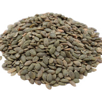 Gerbs Lightly Sea Salted Pumpkin Seed Kernels 2 Lbs|Top 14 Allergy Free Food |Use In Salads, Yogurt, Oatmeal, Trail Mix|Grown In Canada, Packed In Us