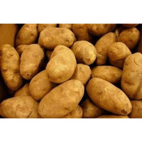 Potatoes Russet Fresh Produce 10 Lbs