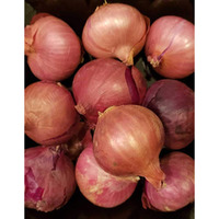 Fresh Shallots 2 Lbs. Produce Of Usa