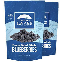 Thousand Lakes Freeze Dried Fruit - Blueberries 2-Pack 1.2 Ounces (2.4 Ounces Total) | No Sugar Added | 100% Whole Blueberries