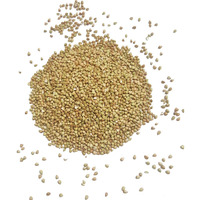 Certified Organic Hulled Buckwheat Groats,Non-Gmo, Raw, Vegan, Bulk (10Lb)