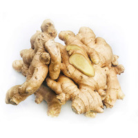 Kejora 100% Organic Fresh Ginger Root - Source From Peru (2)