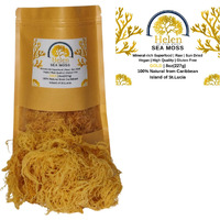 Wildcrafted Sea Moss | Gold - Purple - Green - Mixed | 100% Natural Irish Moss From St.Lucia | Mineral-Rich Superfood | 8Oz Sun-Dried Moss | No Preservatives No Chemicals